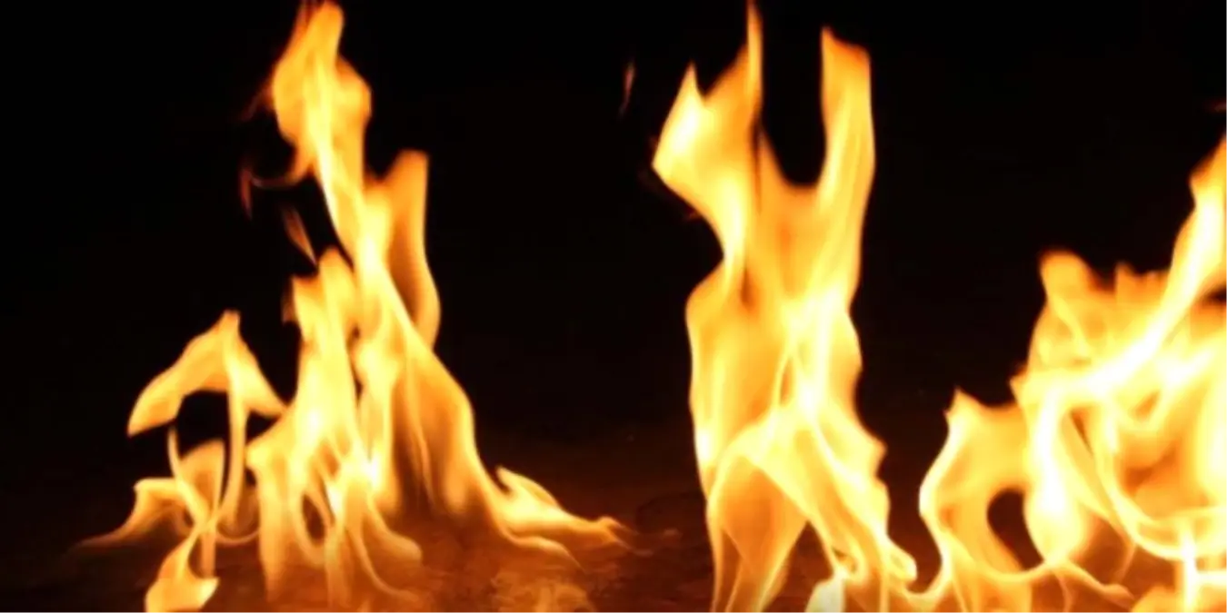 Fenerbahçe Yeni Transferini Duyurdu