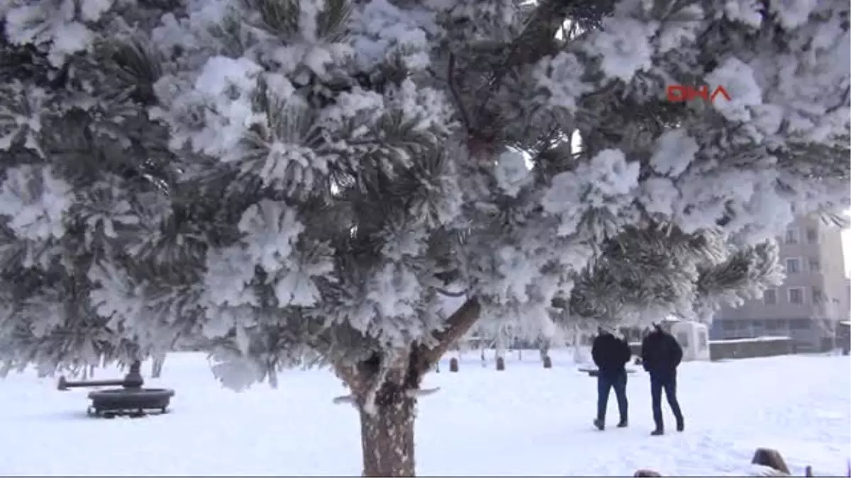 Kars Kırağı Tutan Ağaçlar Tablo Gibi
