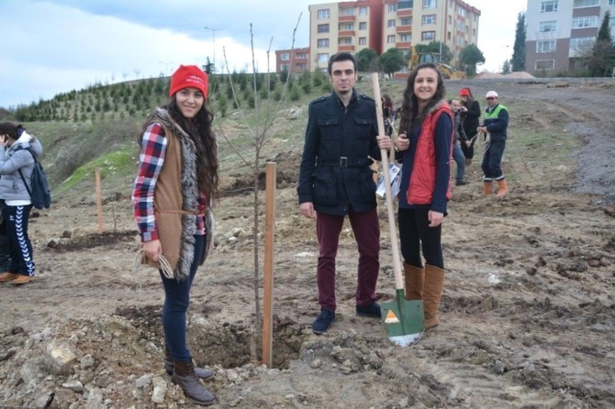 Körfez\'de Ağaçlandırma Çalışmaları Sürüyor