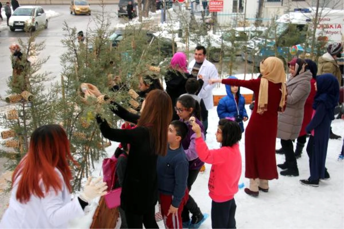 Minikler Kuşlar İçin Yaptıkları Yemlikleri Ağaçlara Astı