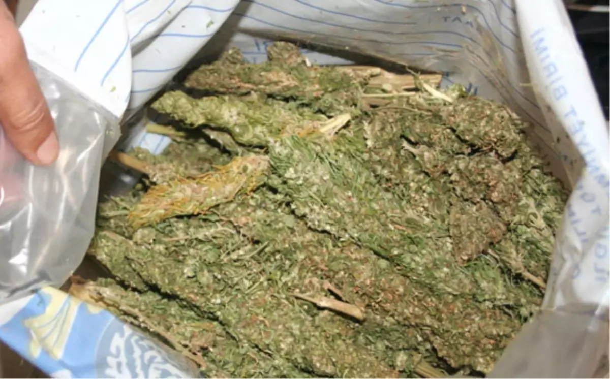 Pendik\'te Uyuşturucu Operasyonu: 2 Gözaltı