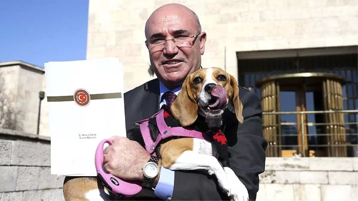 Mahmut Tanal, \'Köpek Giremez\' Pankartına Köpeğiyle Gönderme Yaptı