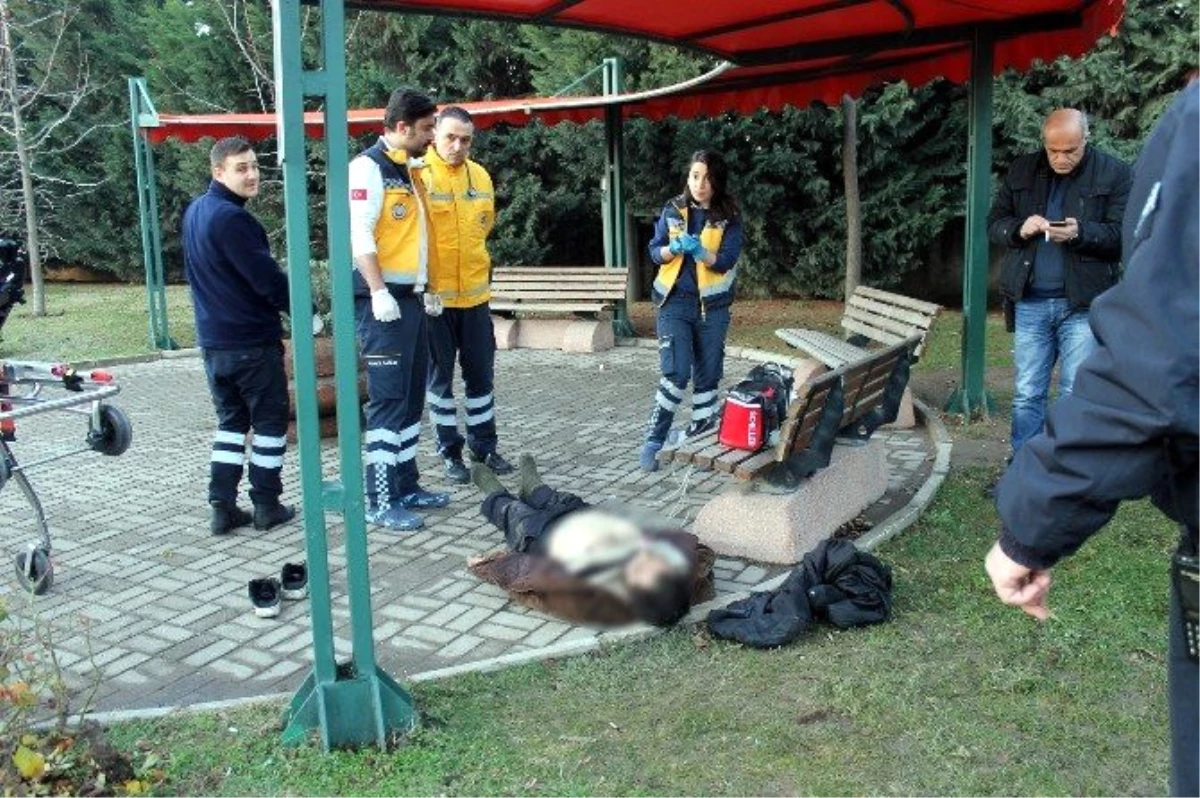 Yalova\'da Bir Kişi Parkta Ölü Bulundu