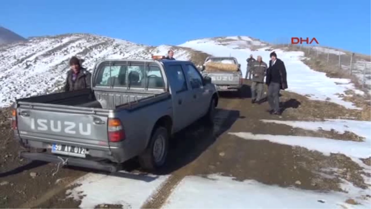 Tekirdağ Ganos Dağı\'ndaki Yaban Hayvanlarına Yiyecek Bırakıldı