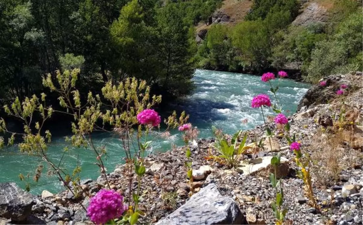 Tunceli Barosu\'ndan Munzur Vadisi\'nde Acele Kamulaştırmaya Tepki