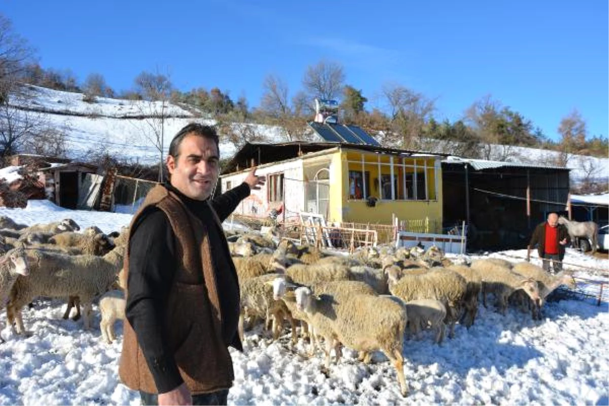 Parti Binasını Ahırın Yanına Kuran Çoban Genel Başkan