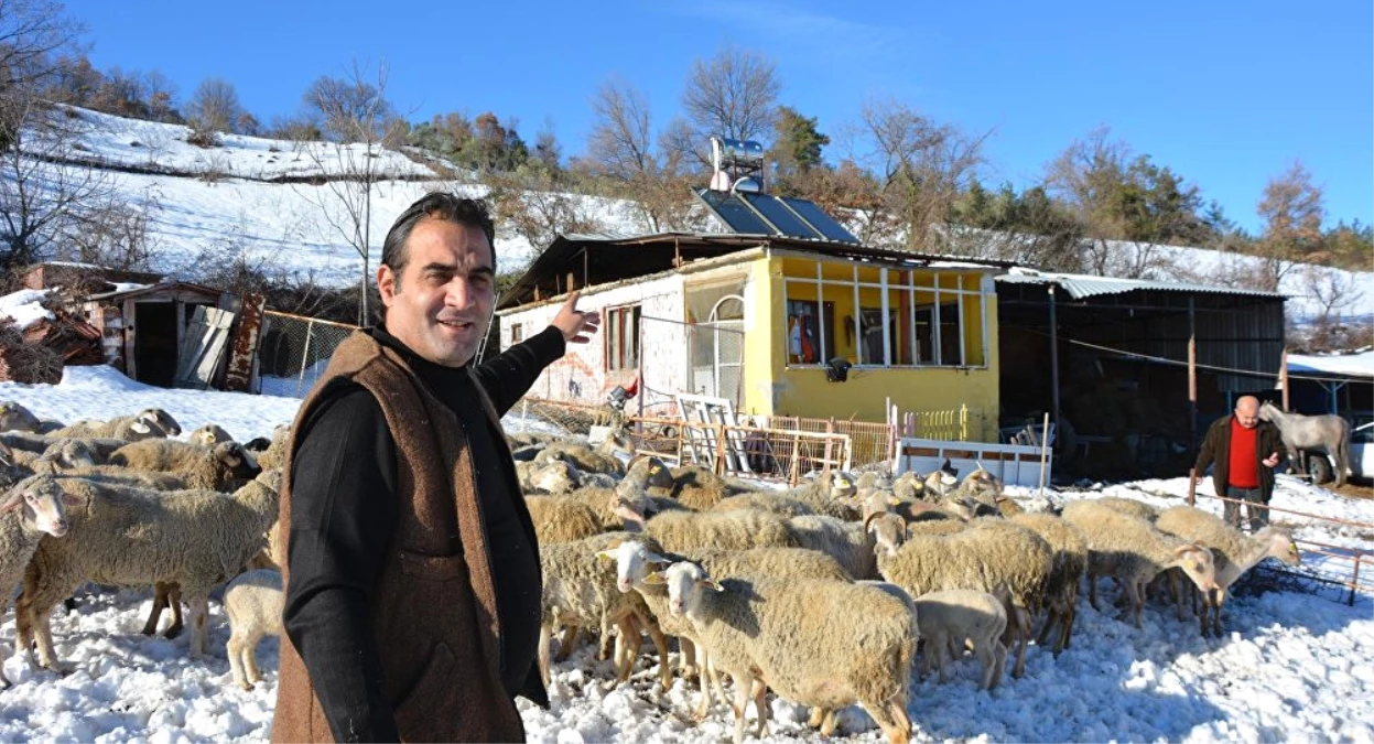 Parti Binasını Ahırın Yanına Kuran Çoban Genel Başkan