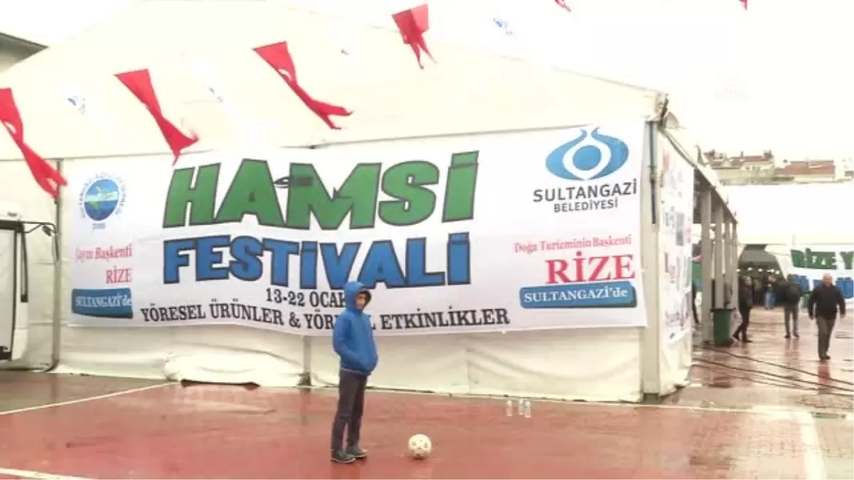 Sultangazi\'de "Hamsi" Festivali