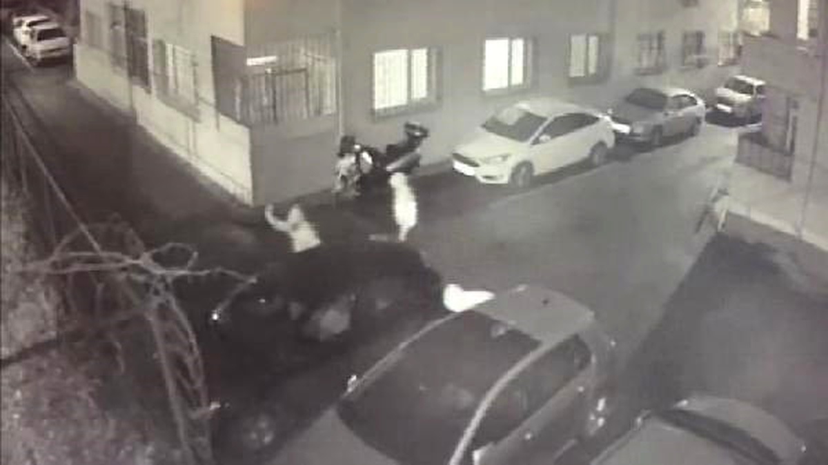 Otomobili Ateşe Veren Kundakçılar Kamerada