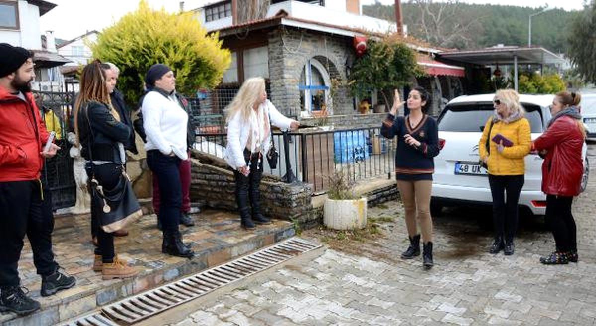 Bodrum\'un Simgesi 12 Köpeğin Velayet Tartışması Karakolluk Etti