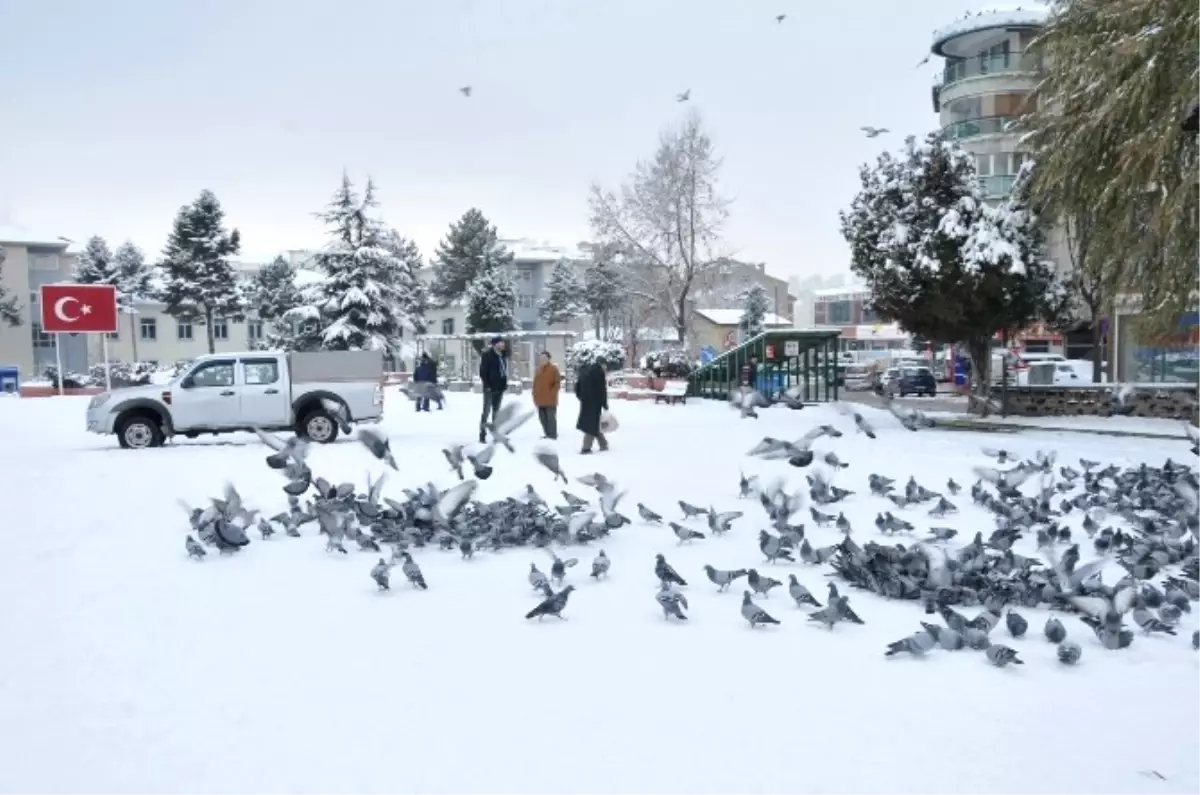 Güvercinleri "Sermayeden" Doyuruyor