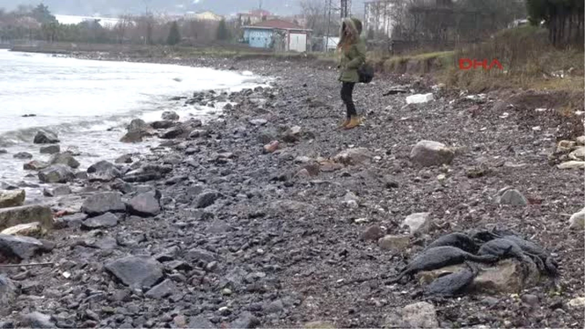 Izmit Körfezi\'nde Kirliliğin Etkileri Sürüyor