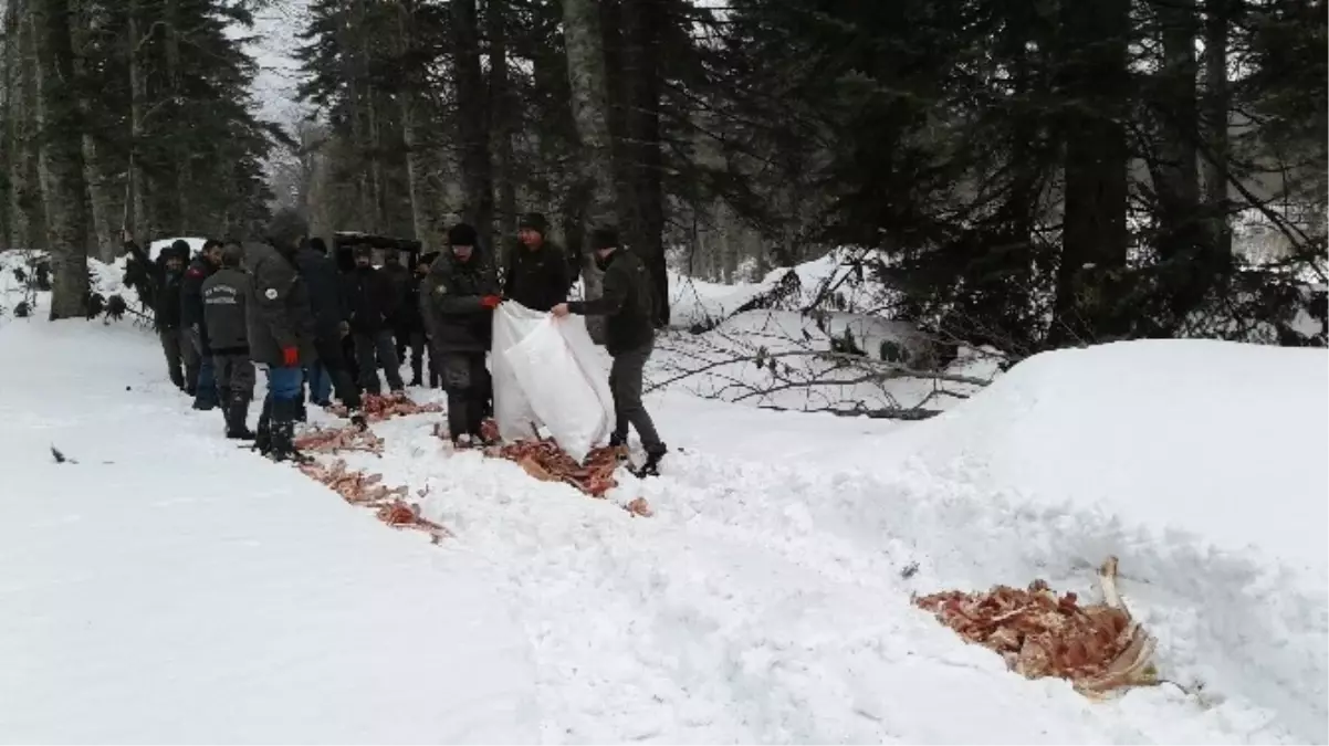 Off-Roadçılar Yaban Hayvanlarını Yemledi