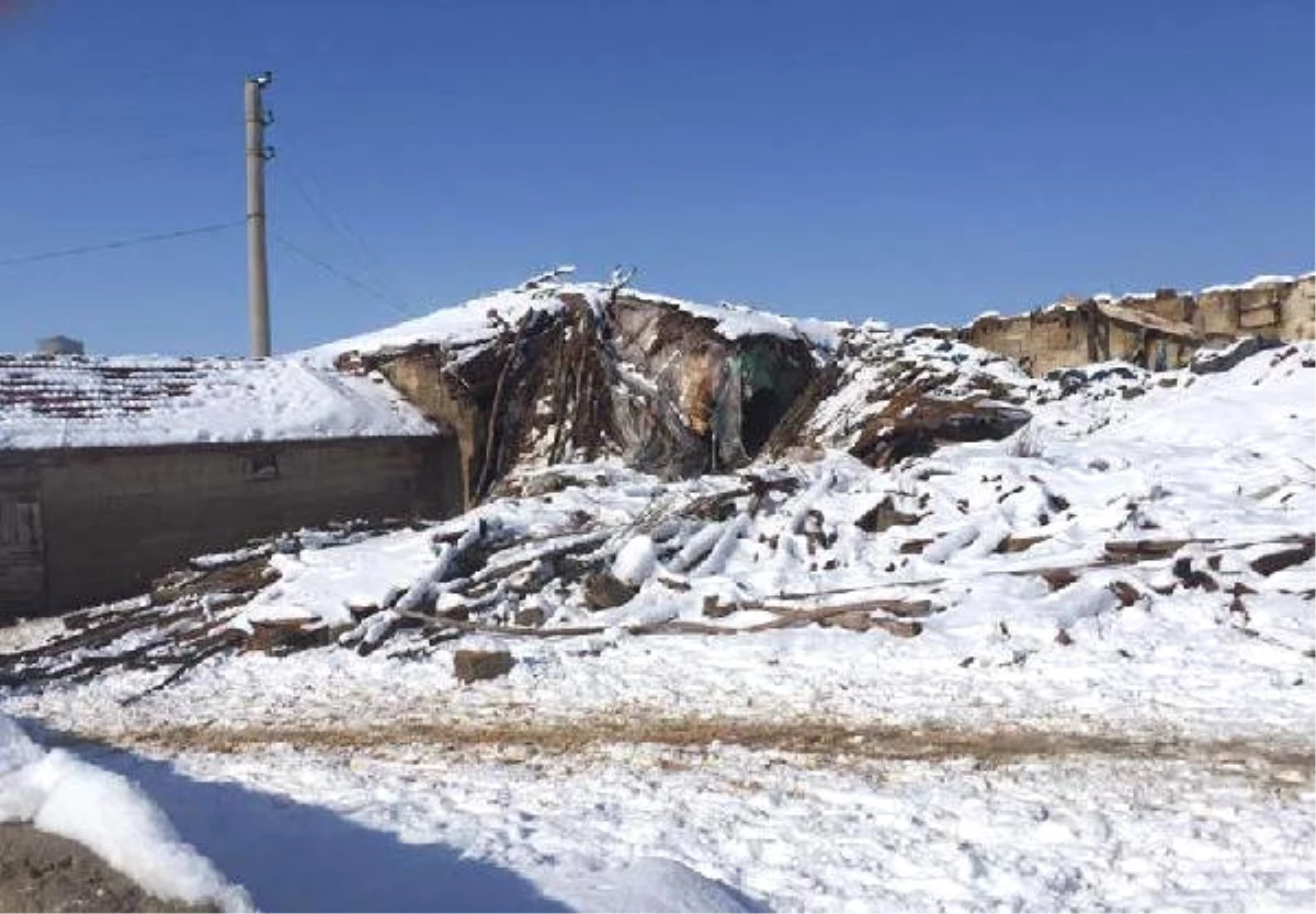 Pınarhisar\'da Ağıl Çatısı Çöktü 11 Hayvan Telef Oldu