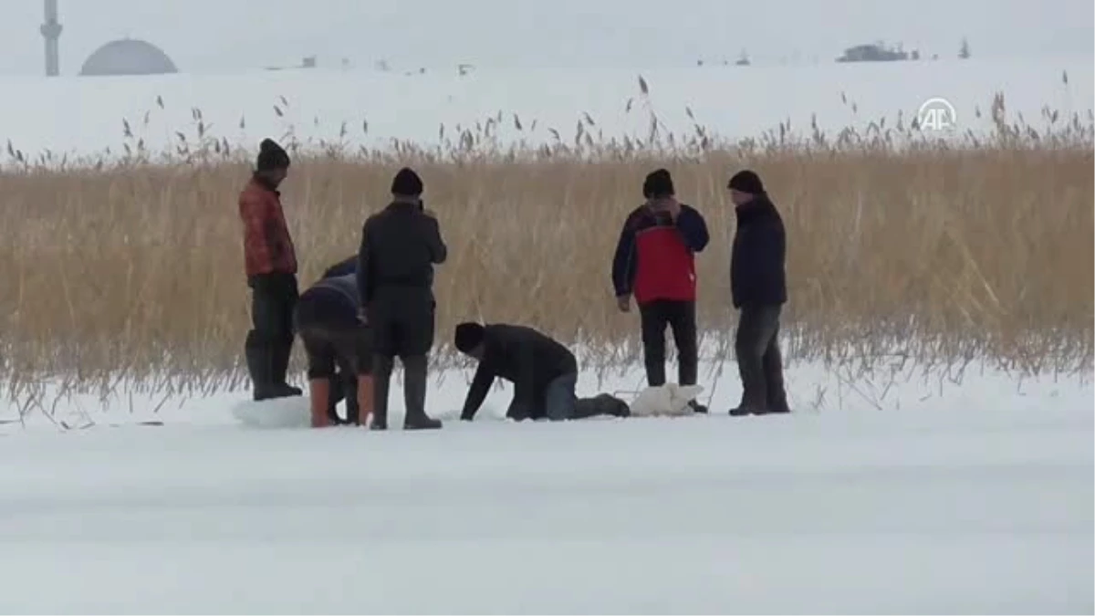 Beyşehir Gölü\'nde "Eskimo Usulü" Balık Avı