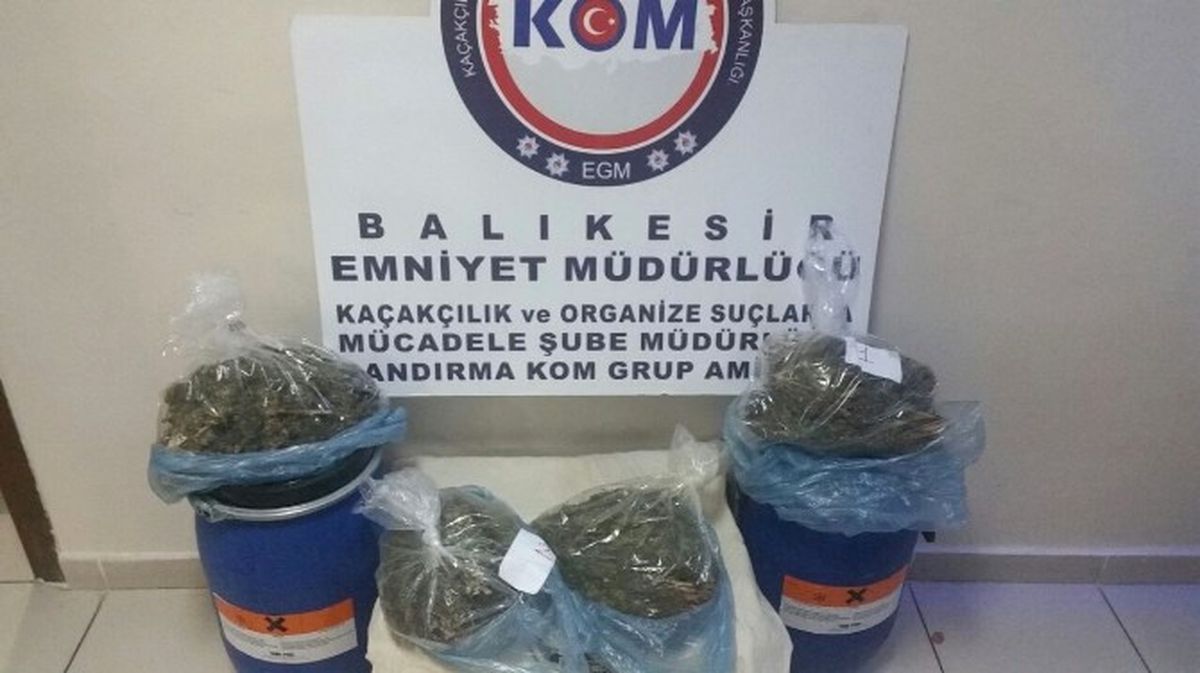 Esrarın Turşusunu Kurdular, Ama Helyus\'tan Kurtulamadılar