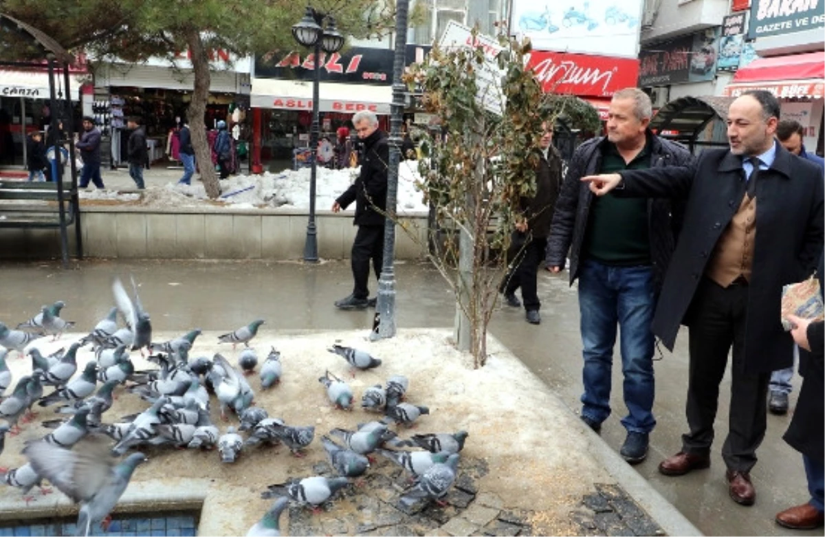 Kırıkkale\'de Güvercinlerin Zehirlendiği İddiası