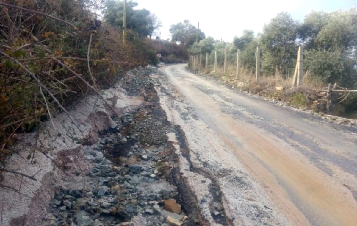 Milas\'ta Aşırı Yağışlar Yollara Zarar Verdi