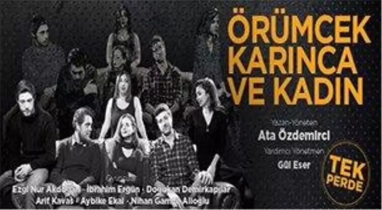 Örümcek, Karınca ve Kadın