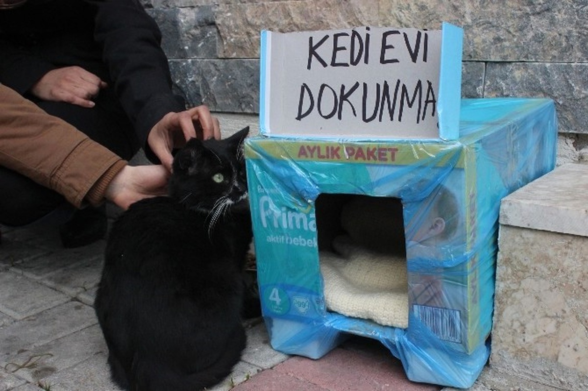 İki Esnafın Kedi Tartışması Bimer\'e Taşındı