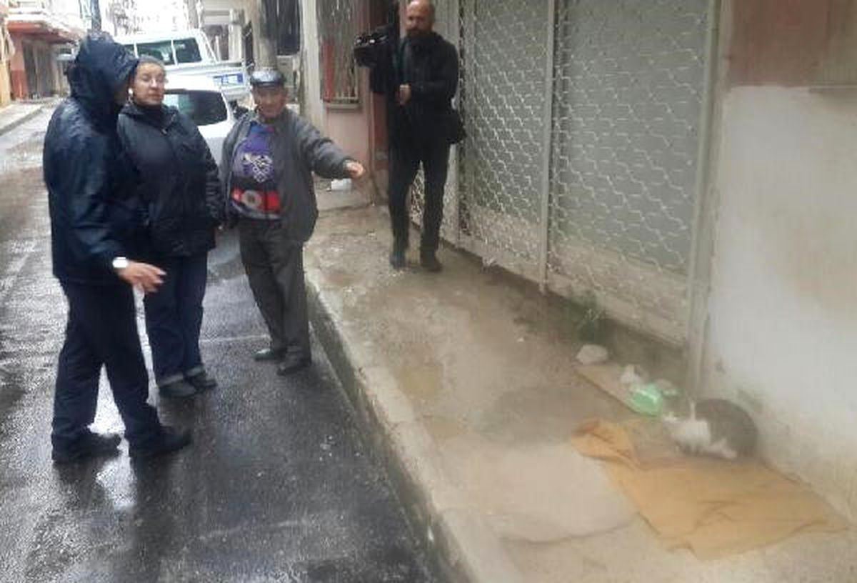 Sokakta Kedi Besleme Kavgası (2)