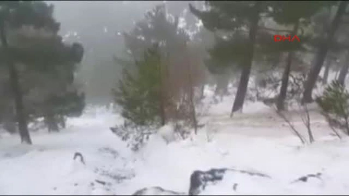 Alanya Aracıyla Çığ Altında Kaldı