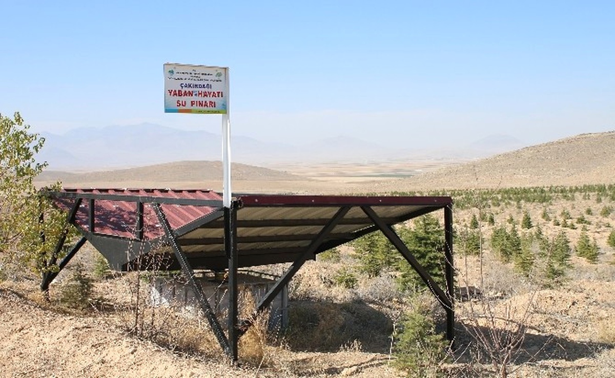 Karaman\'da Yaban Hayvanları İçin Su Pınarları Yapıldı