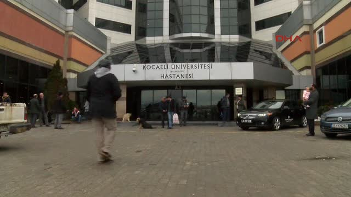 Kocaeli - Sporla Güçlendirilen Kemikler Dizlerdeki Aşınmaları Azaltıyor