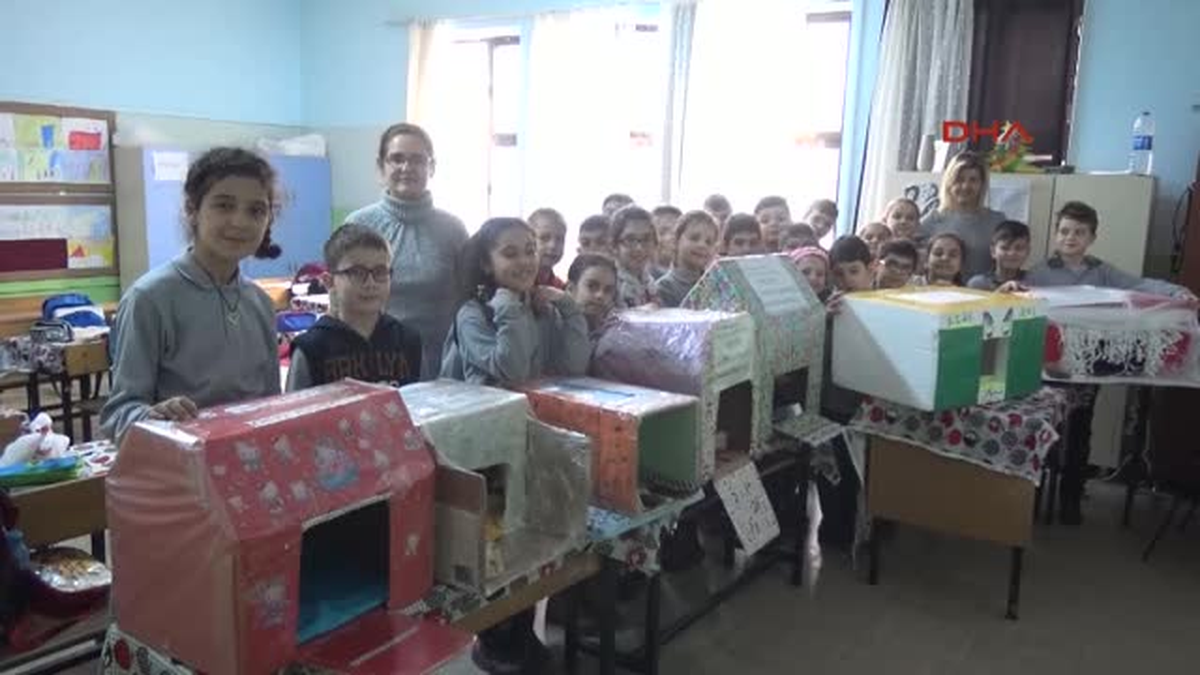 Manisa Minik Öğrenciler Kediler Için Ev Yaptı