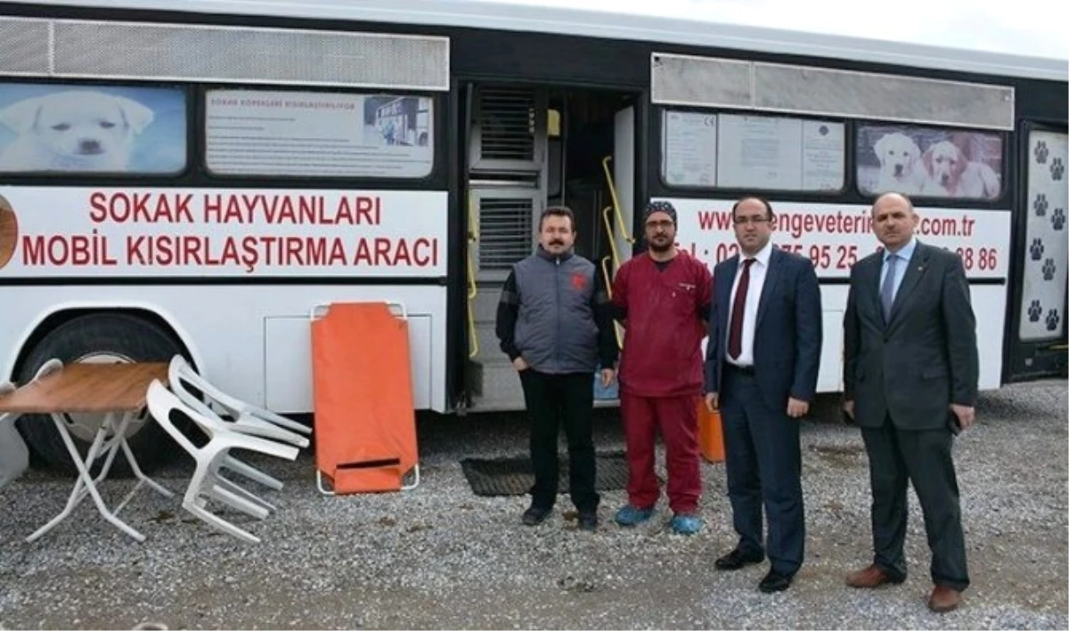 Sandıklı\'da Kuduz Vakasının Ardından Sokak Hayvanları Aşılanıyor