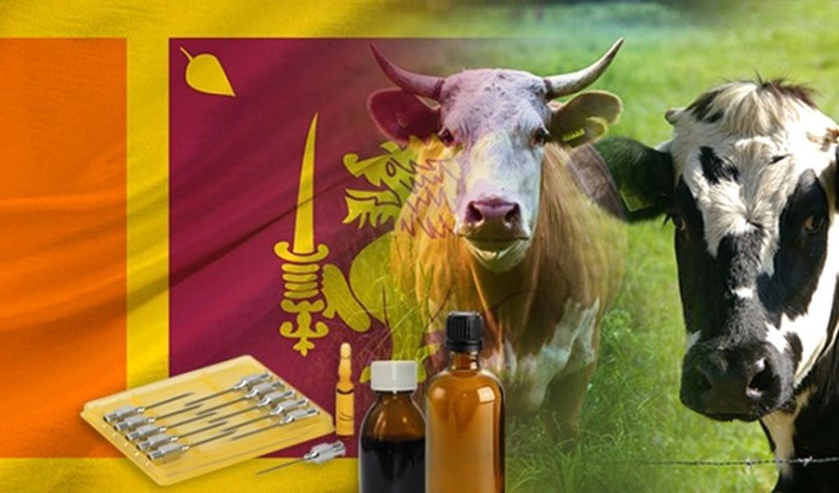 Sri Lanka\'dan Veteriner İlaçları Bayiliği Talebi