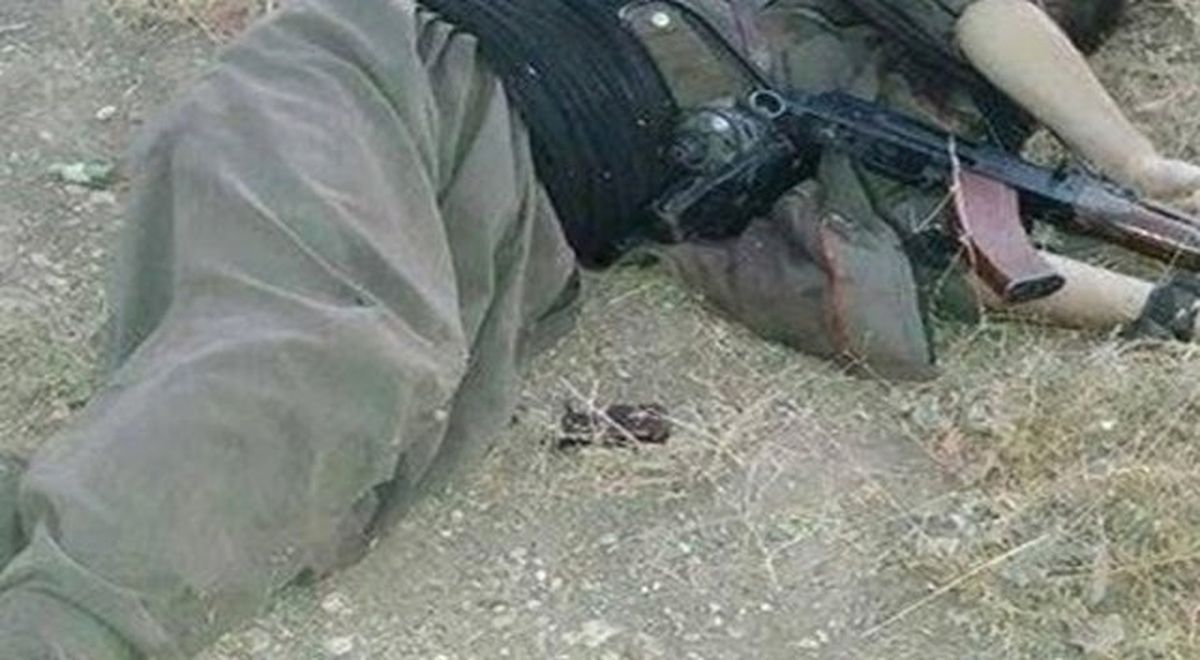 Van\'da PKK Operasyonu: 2 Terörist Ölü Ele Geçirildi