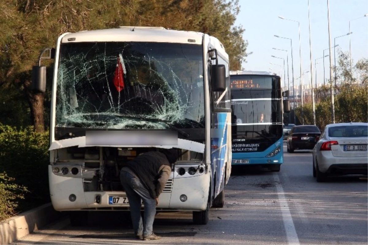 Antalya\'da Zincirleme Kazası: 9 Yaralı