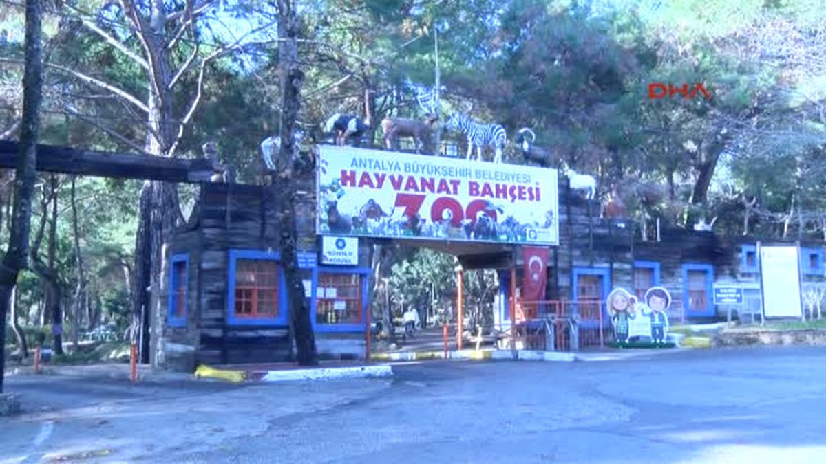Antalya Hayvanat Bahçesi Sakinlerine Kış Önlemi