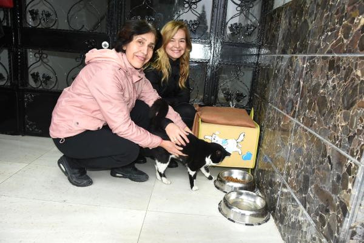 Apartman Kapısındaki Kedi Evi Mahkemelik Etti