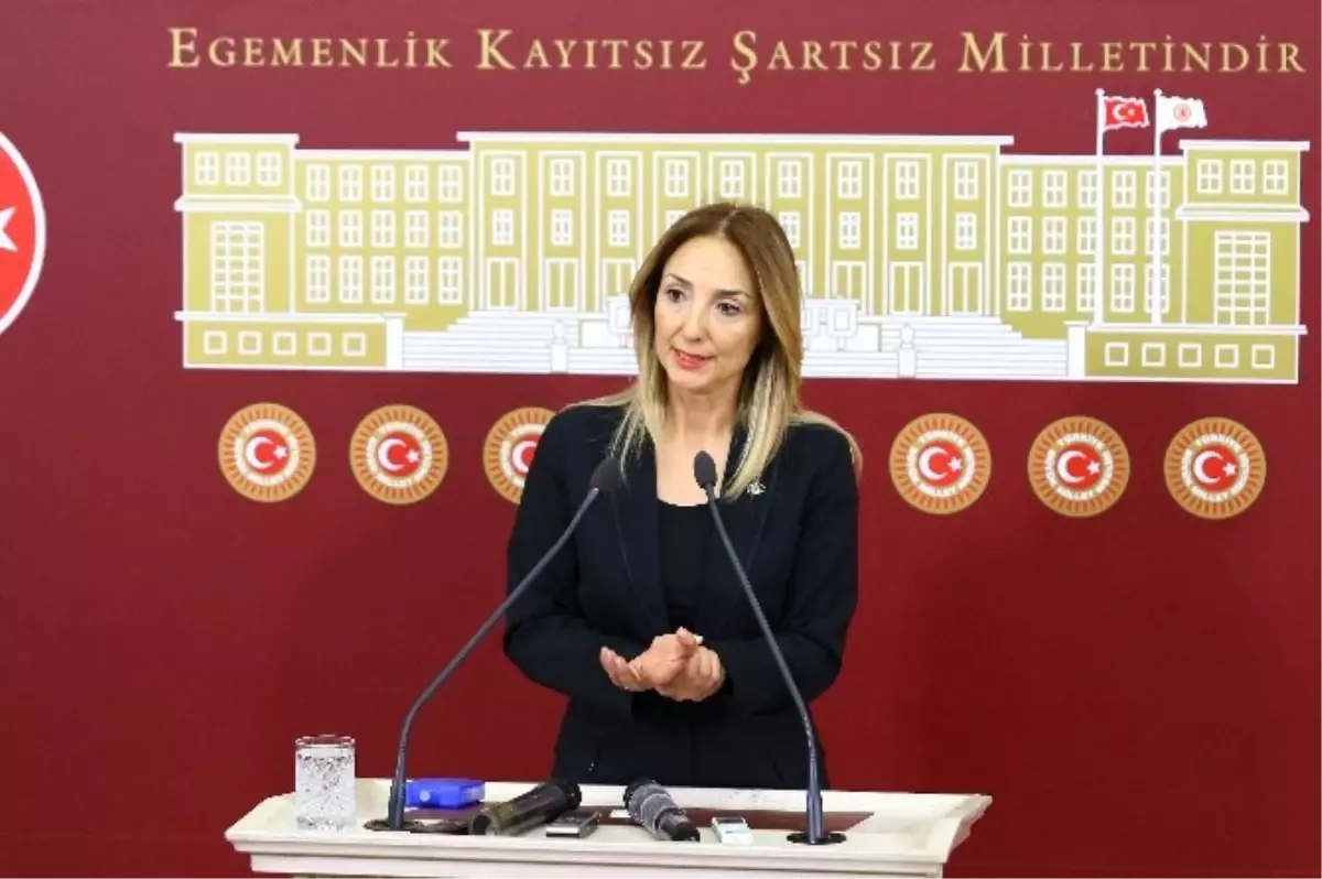 Bağımsız Ankara Milletvekili Aylin Nazlıaka Açıklaması