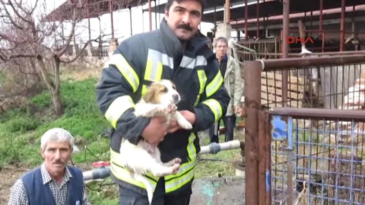 Kuyuya Düşen Yavru Köpeği İtfaiye Kurtardı