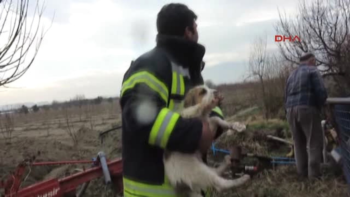 Manisa Kuyuya Düşen Yavru Köpeği Itfaiye Kurtardı