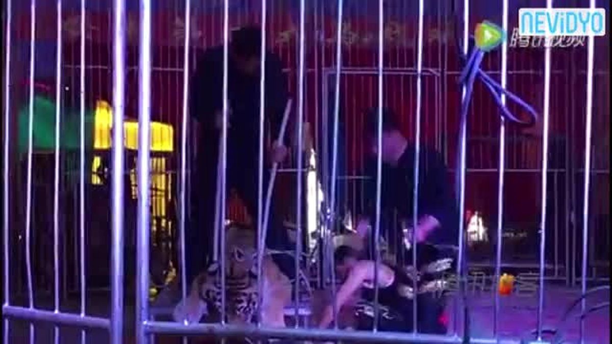 Sirkte İnsanlık Dışı Olay