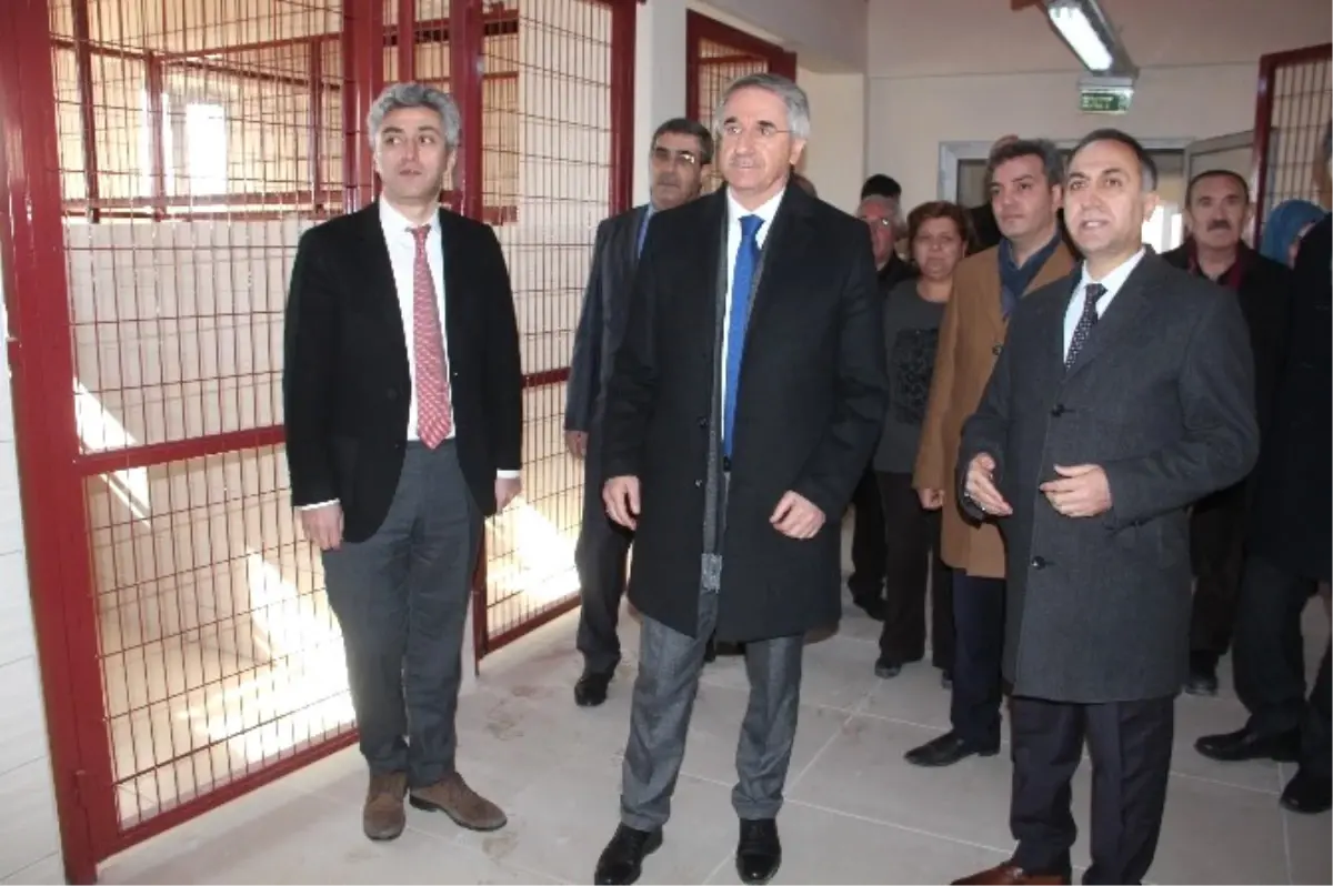 Türkiye\'nin En Büyük Hayvan Hastanesi ve Oteli Tamamlandı