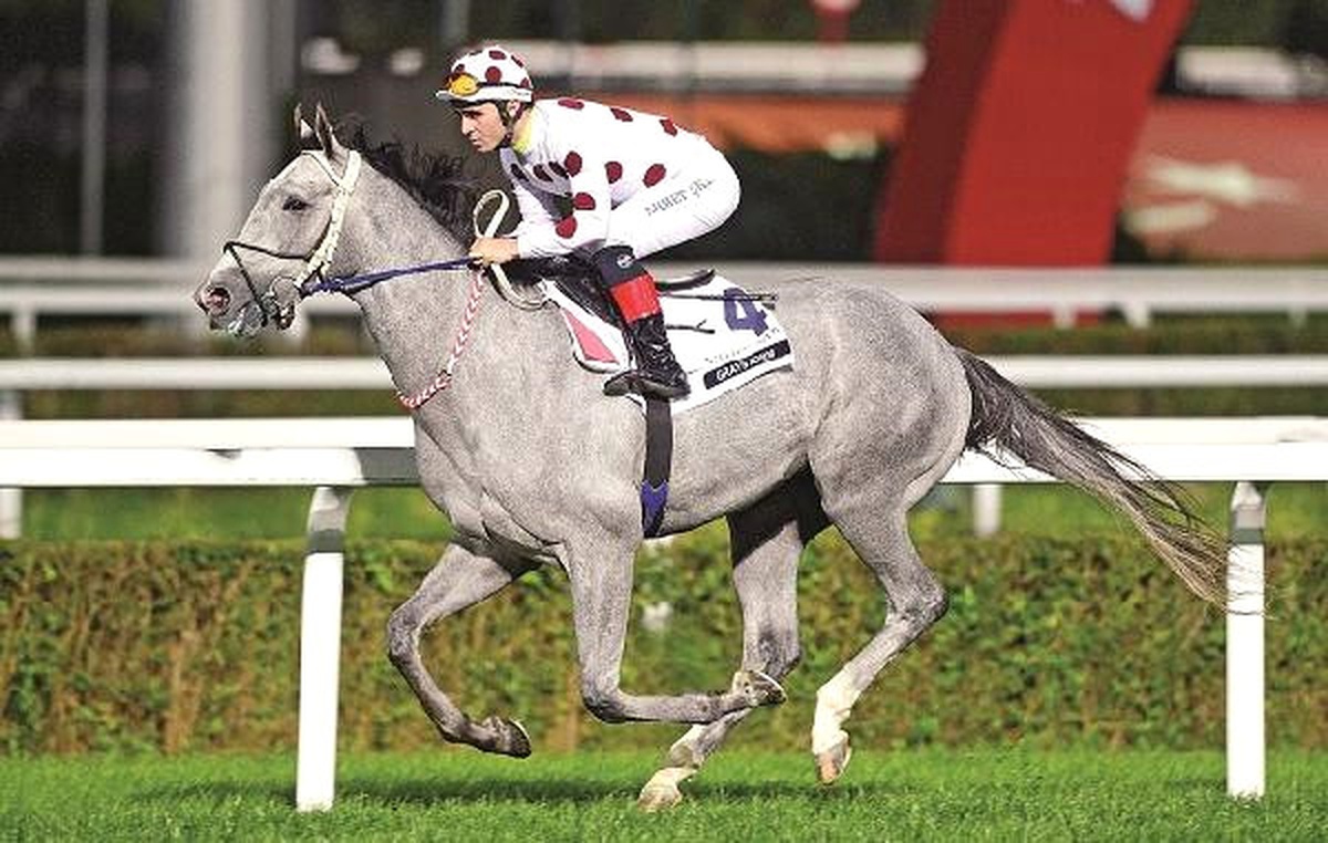 Ülkemizi Dubai\'de Temsil Eden Graystorm 7. Oldu