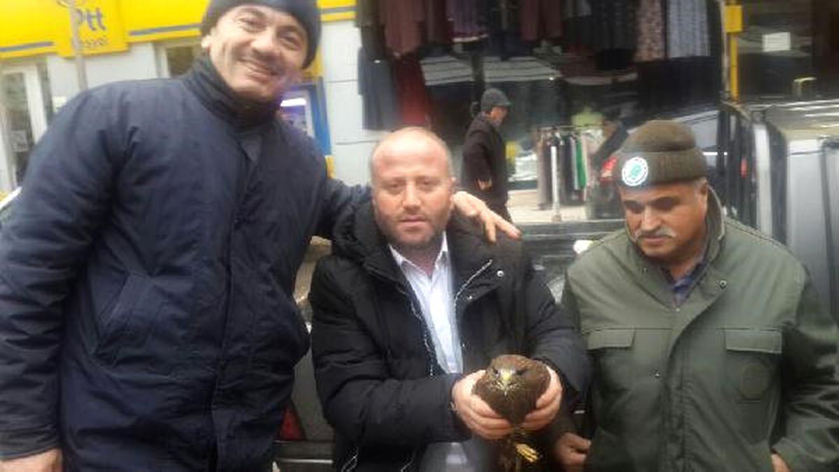 Yaralı Bulunan Doğana Tedavi