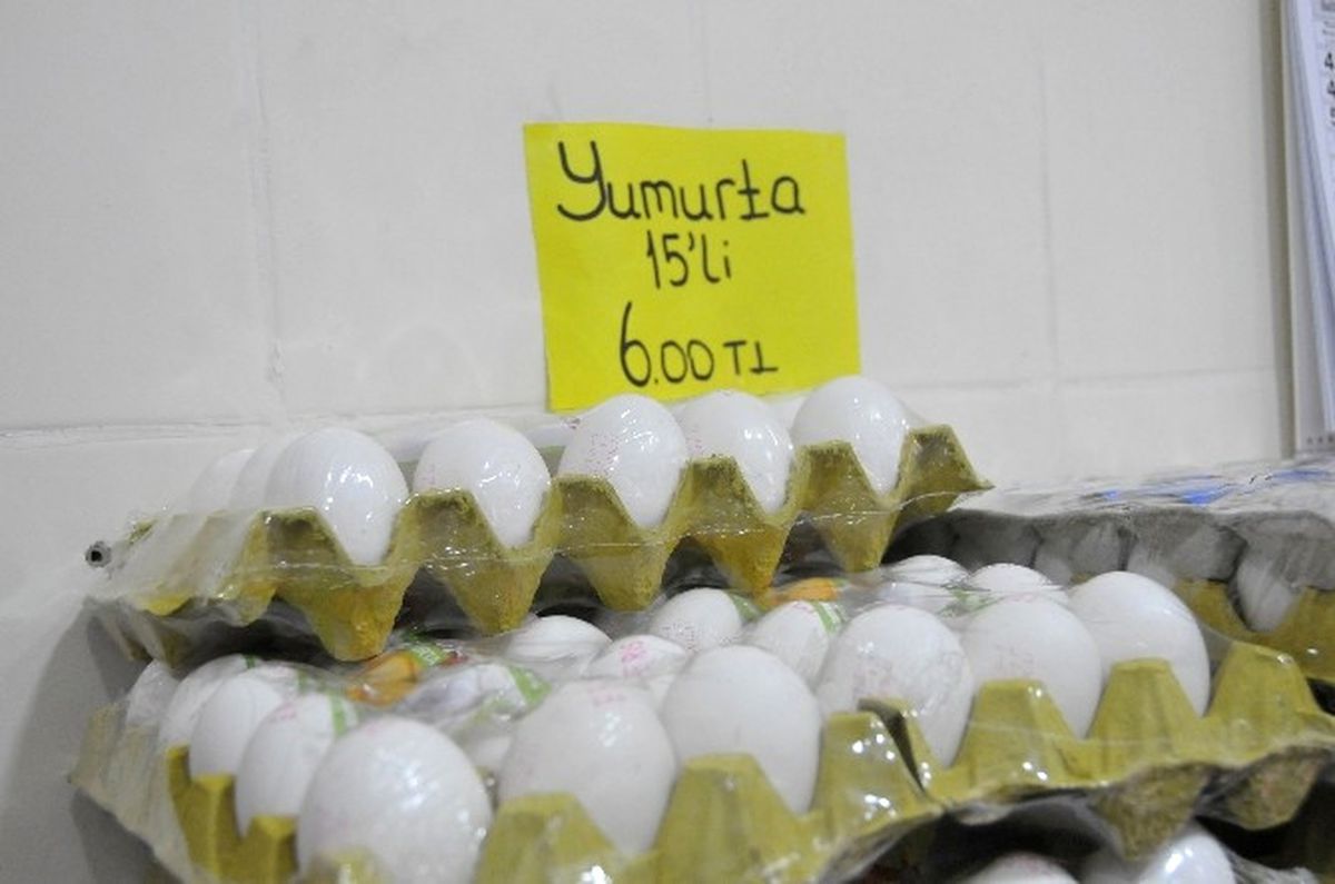 Yumurtanın Ateşi Düşüyor"