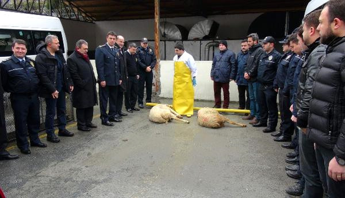 Beşiktaş Şehitleri İçin Kurban Kesildi