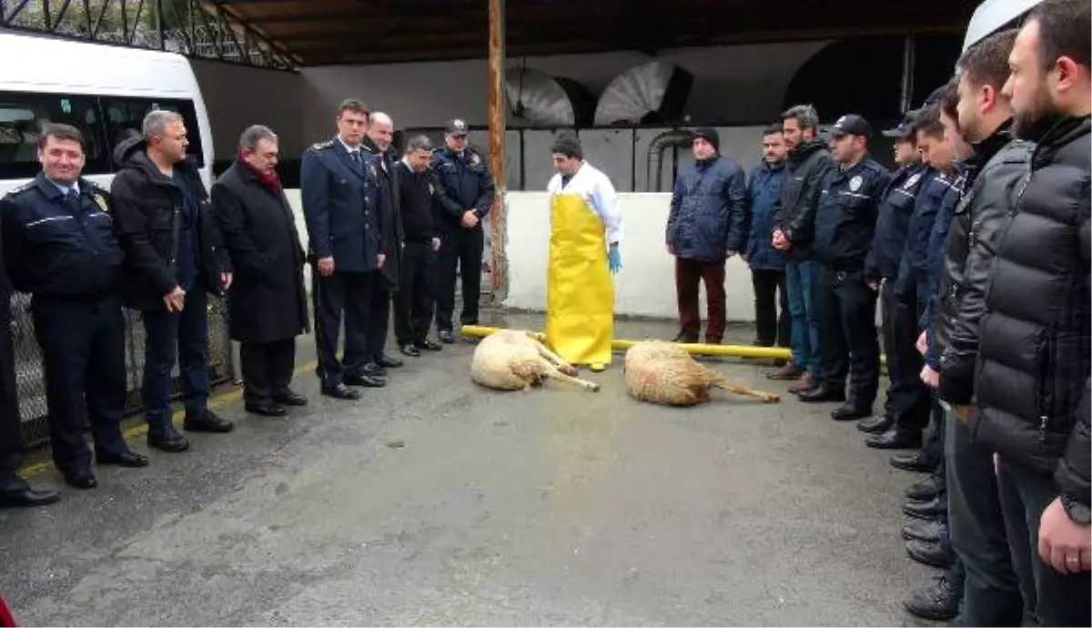 Beşiktaş\'taki Terör Saldırısı