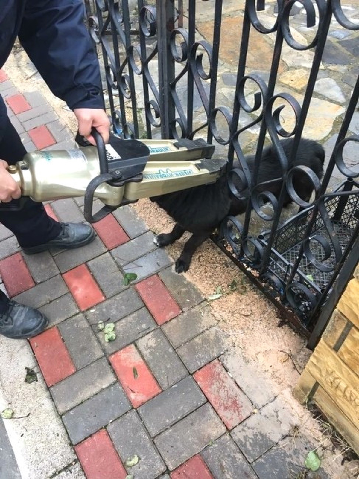 Biga\'da Parmaklıklara Sıkışan Köpek Kurtarıldı