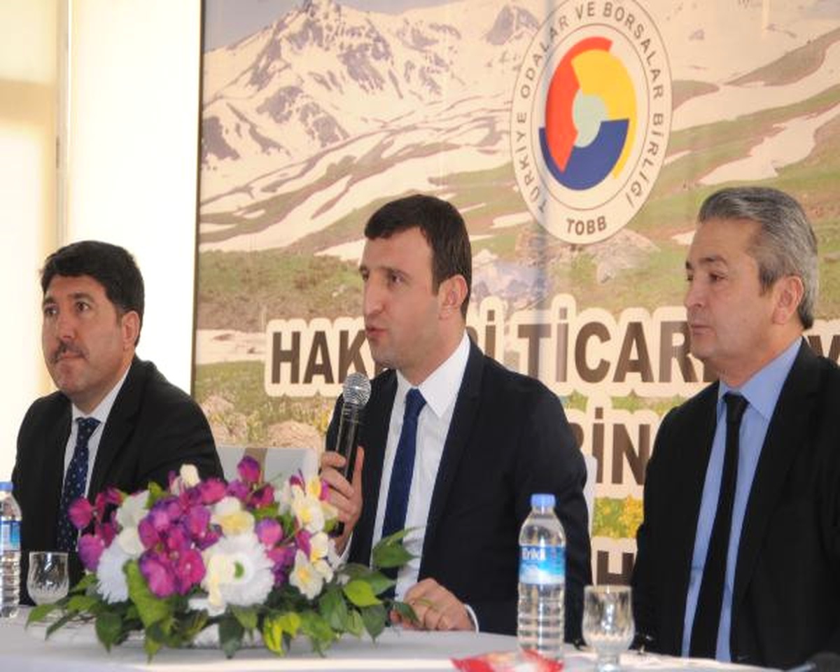 Çalışma ve Sosyal Güvenlik Bakan Yardımcısı Yegin Hakkari\'de (2)
