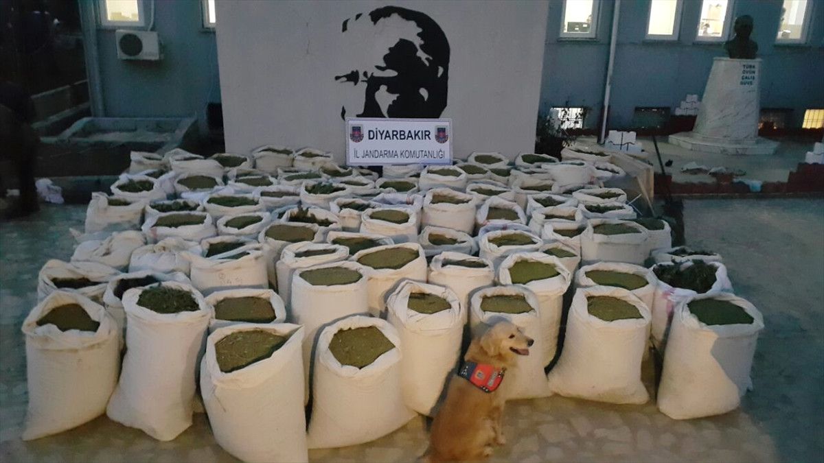 Diyarbakır\'da Narkoterör Operasyonu