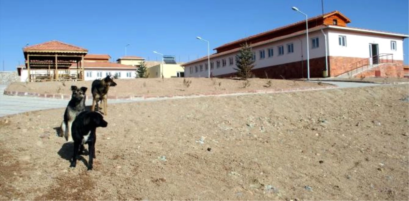 Elazığ\'da Hayvan Hastanesi Hizmete Başladı