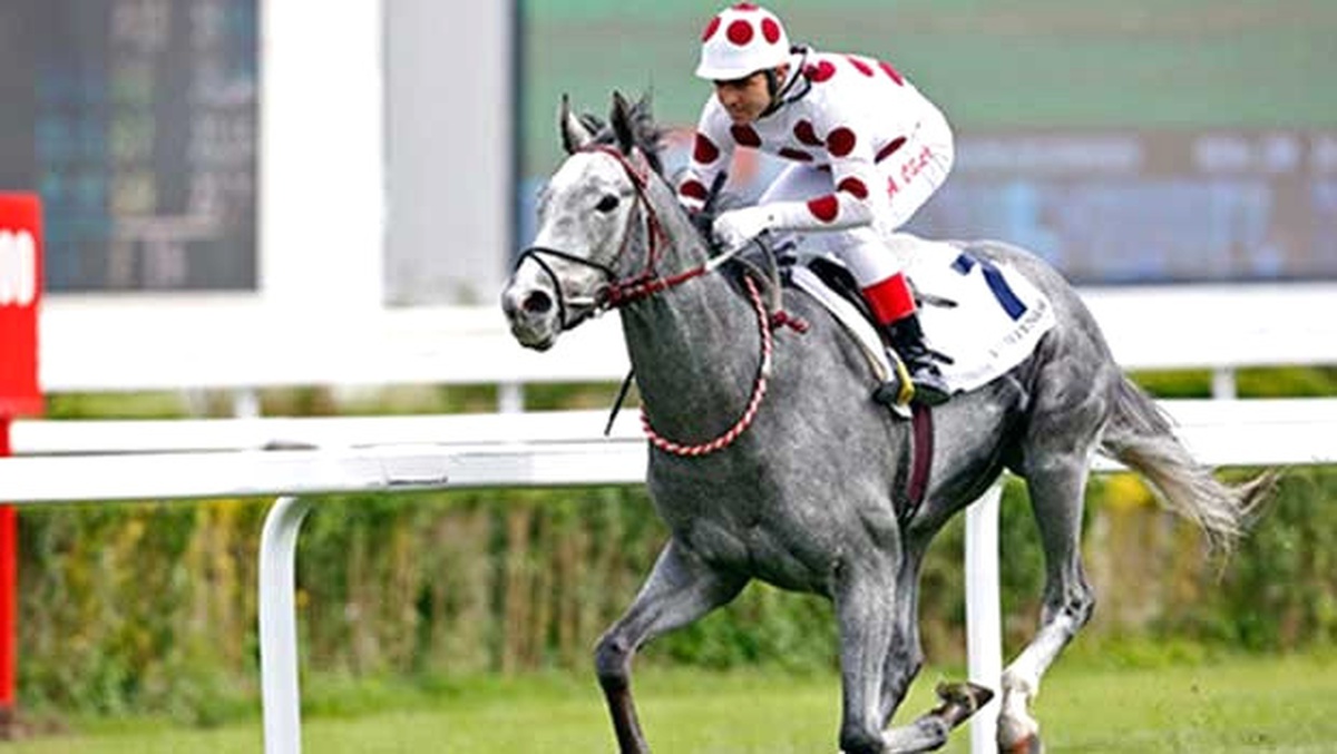 Gri Fırtına "Graystorm" Dubai Meydan\'da Esmeye Hazır